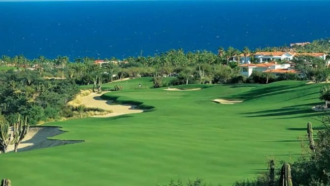 Palmilla