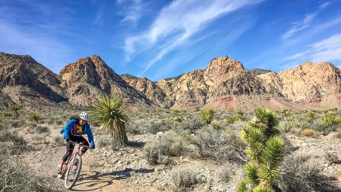 Ciclismo de montaña
