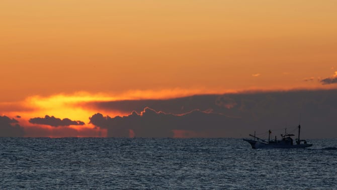 Excursiones de pesca