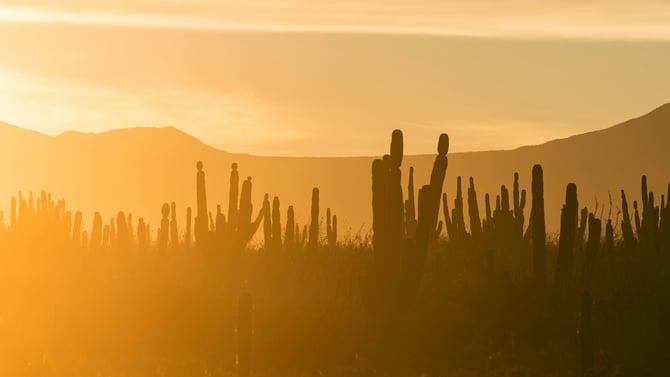 Senderismo y paseos por la naturaleza