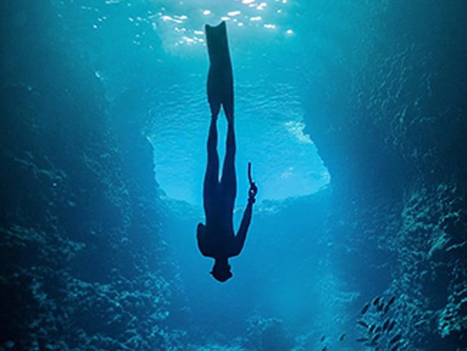 Diving & Snorkeling