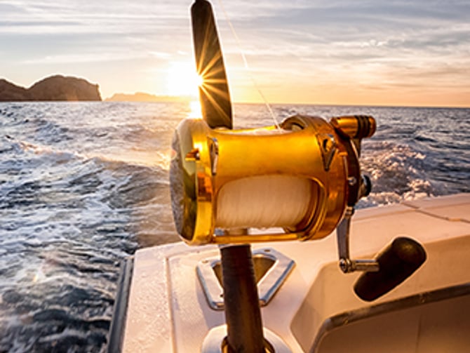 Fishing Charters