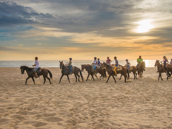 Camel and Horseback Rides